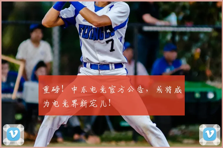 重磅！中东电竞官方公告，或将成为电竞界新宠儿！